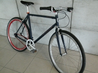 Fixie Urban Bike Shimano Nexus Retro Cromo