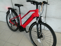 E-Trecking Bike Raleigh Bosch Performance Linie